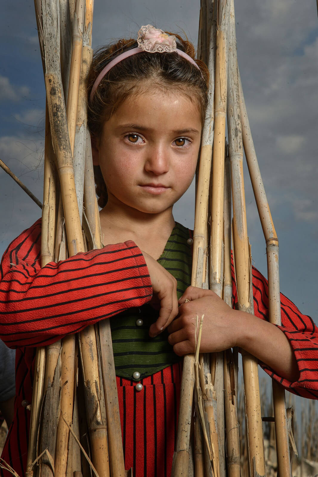Little girl looking through sugarcanes