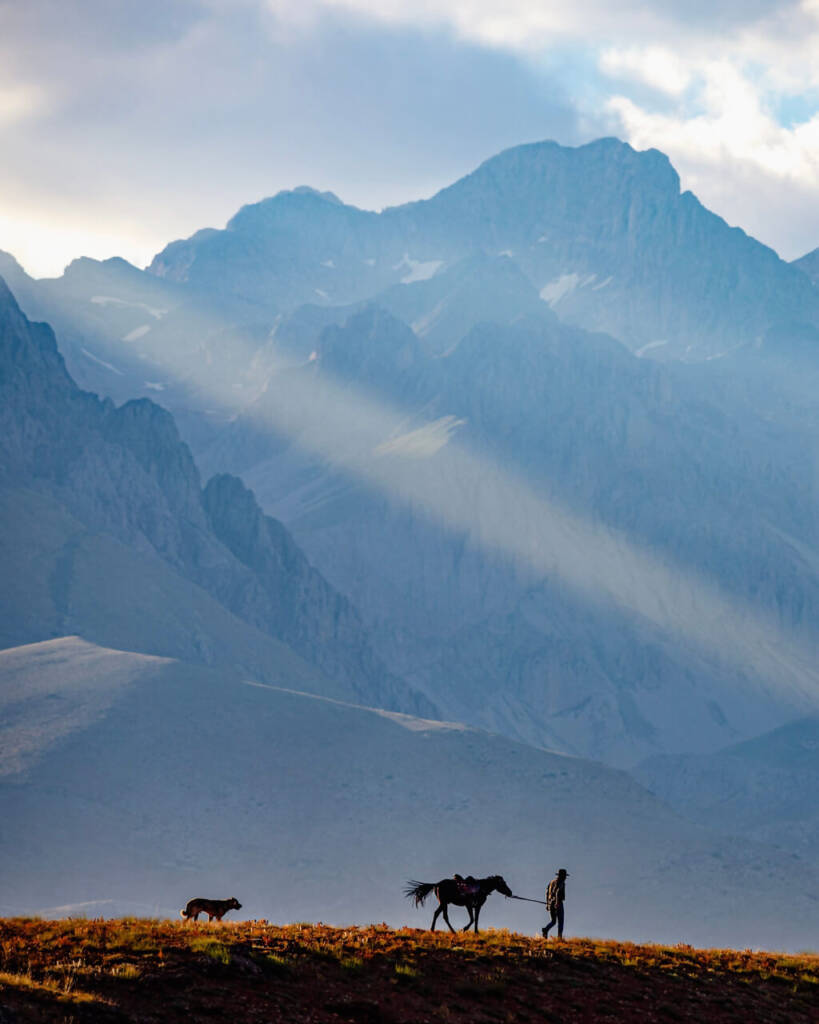 Man, horse and dog in the mountains 